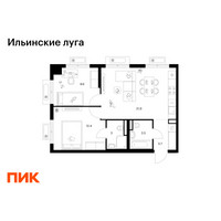 Планировка двухкомнатной(квартира) площадью 54.1 квадратных метров в “ЖК Ильинские луга”