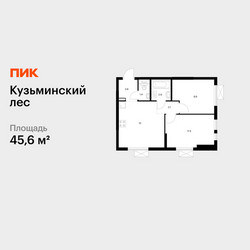 Планировка двухкомнатной(квартира) площадью 45.6 квадратных метров в ЖК “ЖК Кузьминский лес”