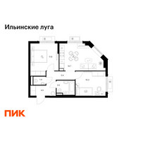 Планировка двухкомнатной(квартира) площадью 49.6 квадратных метров в “ЖК Ильинские луга”