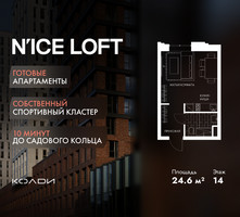 Планировка студии(апартаменты) площадью 24.6 квадратных метров в “ЖК N’ICE LOFT (Найс Лофт)”
