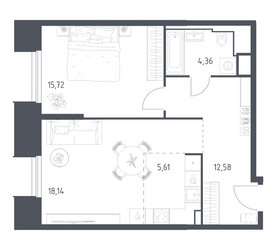Планировка однокомнатной(апартаменты) площадью 56.41 квадратных метров в ЖК “ЖК Скай Спутник”