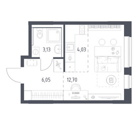 Планировка студии(квартира) площадью 25.91 квадратных метров в ЖК “ЖК Пригород Лесное”