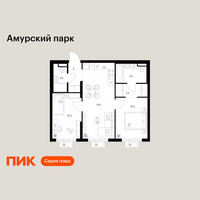 Планировка двухкомнатной(квартира) площадью 53.5 квадратных метров в “ЖК Амурский парк”