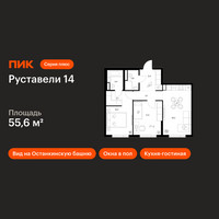 Планировка двухкомнатной(квартира) площадью 55.6 квадратных метров в “ЖК Руставели 14”