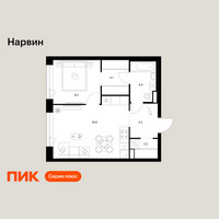 Планировка однокомнатной(квартира) площадью 42.9 квадратных метров в “Нарвин”