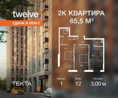 Планировка двухкомнатной(квартира) площадью 65.5 квадратных метров в “ЖК Твелв”