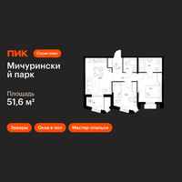 Планировка двухкомнатной(квартира) площадью 51.6 квадратных метров в “ЖК Мичуринский Парк”