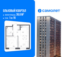 Планировка однокомнатной(квартира) площадью 36.6 квадратных метров в “ЖК Ольховый Квартал”