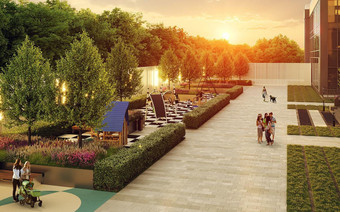 придомовая территория