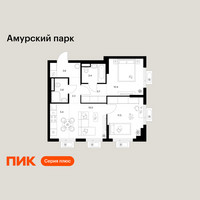 Планировка двухкомнатной(квартира) площадью 53.5 квадратных метров в “ЖК Амурский парк”