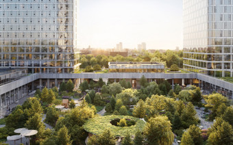 Озеленение в ЖК "Веер"