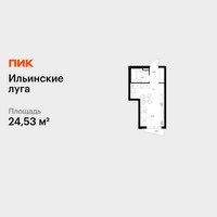 Планировка студии(квартира) площадью 24.53 квадратных метров в “ЖК Ильинские луга”
