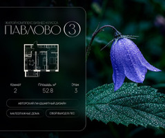 Планировка двухкомнатной(квартира) площадью 52.8 квадратных метров в “Павлово 3”