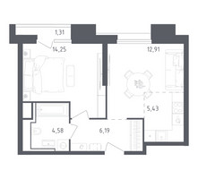 Планировка однокомнатной(апартаменты) площадью 44.67 квадратных метров в “ЖК Скай Спутник”