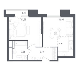 Планировка однокомнатной(апартаменты) площадью 44.67 квадратных метров в ЖК “ЖК Скай Спутник”