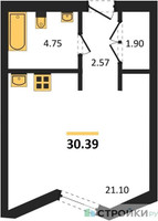 Планировка студии(апартаменты) площадью 30.39 квадратных метров в “ЖК Insider (Инсайдер)”
