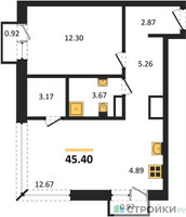 Планировка однокомнатной(квартира) площадью 45.4 квадратных метров в “ЖК М_5”