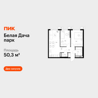 Планировка двухкомнатной(квартира) площадью 50.3 квадратных метров в “ЖК Белая Дача парк”