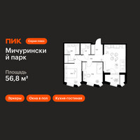 Планировка двухкомнатной(квартира) площадью 56.8 квадратных метров в “ЖК Мичуринский Парк”